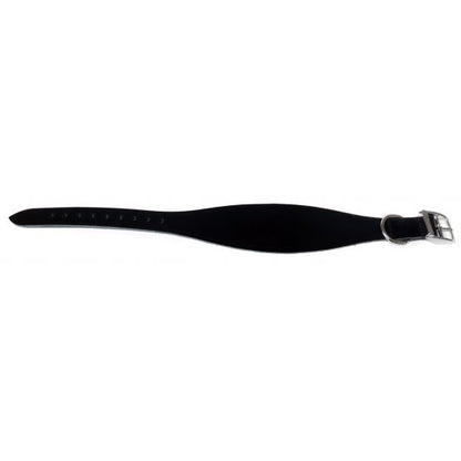 Ancol Greyhound Collar