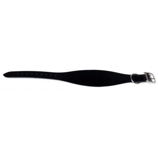 Ancol Greyhound Collar